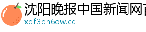 沈阳晚报中国新闻网首页